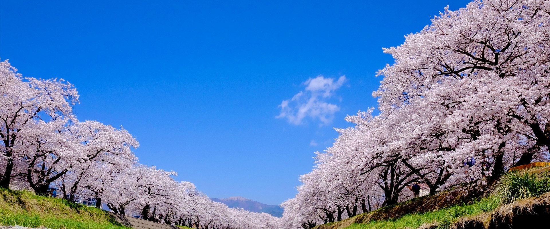 山崎法務事務所 メイン画像